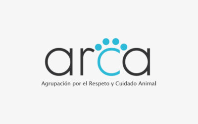 Fundación Arca