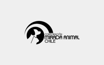 Corporación Mirada Animal de Chile