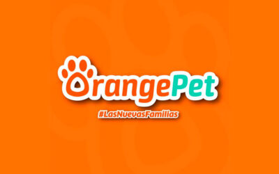 Orange Pet